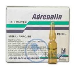 Opakowanie Adrenalin osel - import docelowy