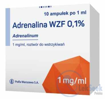 Opakowanie Adrenalina WZF 0,1%